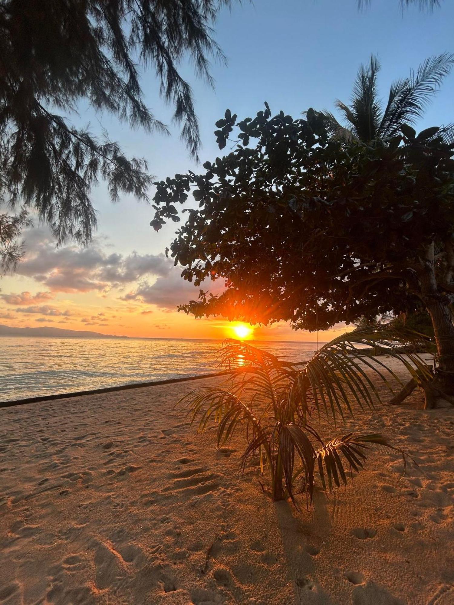 Pinks Bungalow Baan Tai Bagian luar foto